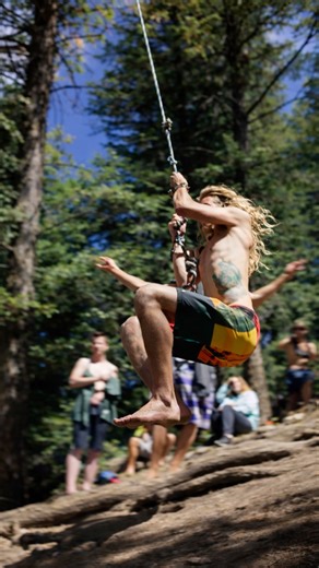 A high tree jump on camera