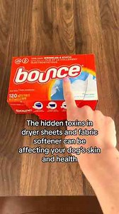 What Every Dog Owner Needs to Know About Daily Care