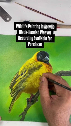 Wildlife acrylic painting tutorial recording available for purchase | bird painting