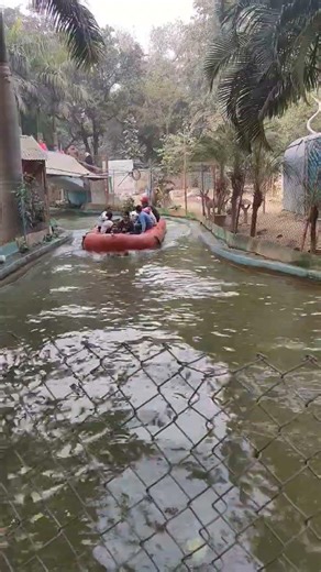 Boating Fun on Picnic Trip #boating #trends #picnic #shorts