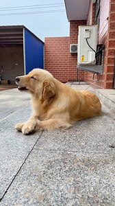 73K views · 1.2K reactions | Excuse me? | Beautiful World | Facebook