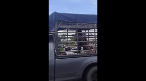 งานเลึัยงเลิกแล้ว!!ตามเช็คบิล..คนขนเบียร์น้ำท่วม หาดใหญ่#ชุดสืบสวนสภ.หาดใหญ่และตำรวจกองปราบ กองกำกับการ6 ตามจับคนขนเบียร์จากโกดังน้ำท่วมหาดใหญ่พาไปเปิดร้านคาราโอเกะ Hat Yai #Investigative teams from Hat Yai Police Station and the Crime Suppression Division, Sub-Division 6, arrested a person transporting beer from a flood-affected warehouse in Hat Yai and taking it to a karaoke bar. | ตัวพ่อสงขลา