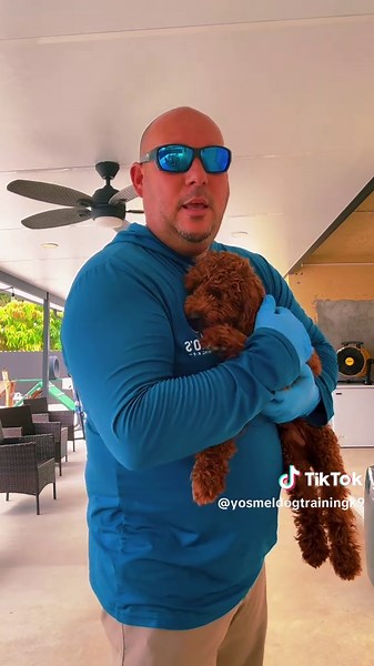 YOSMEL DOG TRAINING K9 on TikTok