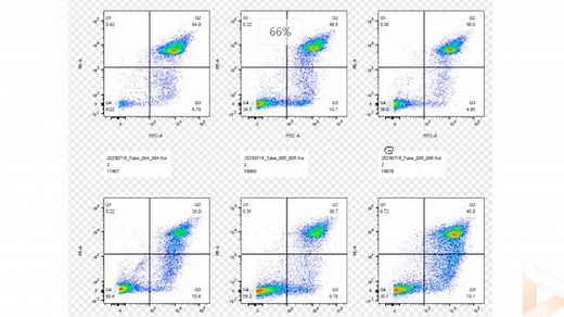 如何使用Flowjo快速进行流式凋亡分析(Annexin-V-FITC+PI)
