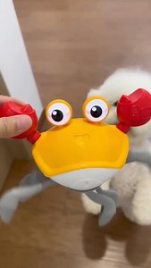 His favourite toy 😍 | Pomeranian Planet