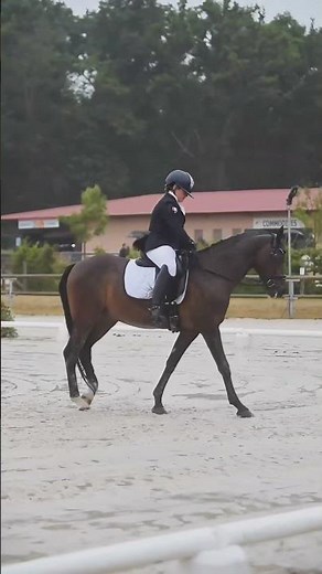 ✨ Saluts & émotions – Fins de reprise | Championnats de France Dressage As Poney Élite 2025 🇫🇷🐴
