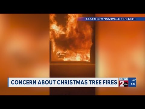 How to prevent Christmas tree fires