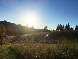 Spotlight on Kerslake Farms - Corbett Oregon