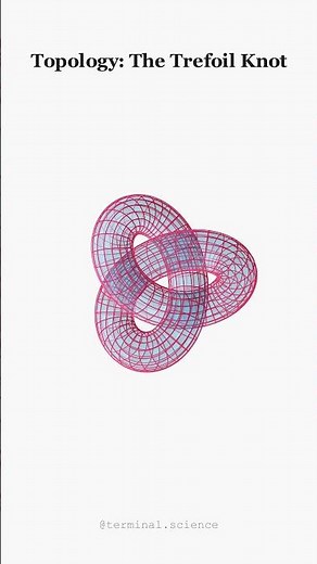 The "Unbreakable" Math Shape 🥨 (Trefoil Knot)
