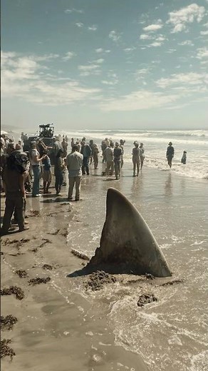 Massive Megalodon Tooth Found on Beach in Rio de Janeiro, Brazil