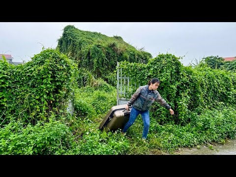 Transform your home from messy overgrown mess into dream paradise | Unexpectedly satisfying cleaning