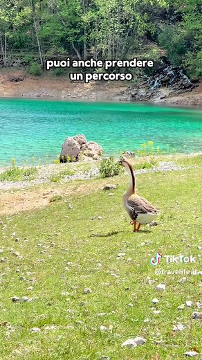 Itinerario sul Lago di San Domenico e Villalago