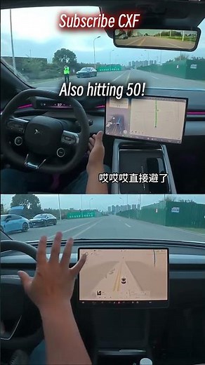 Tesla FSD vs LiDAR XPeng The Ultimate Camouflage Test!