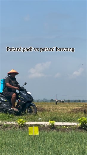 ANP on Instagram: "Petani bawang vs petani padi"