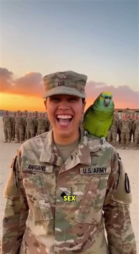 What If Your Army Drill Sergeant Was a Laughing Parrot?