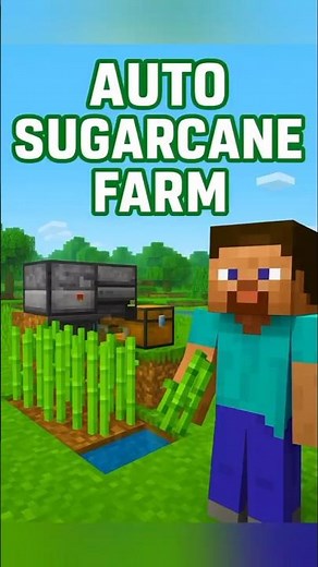 Minecraft PE Sugarcane Farm 🔥 | Best Early Game Farm