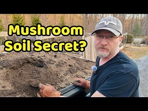 Mushroom Soil Compost - A Secret to Successful Raised Bed Gardens?