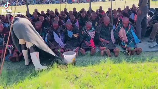 Amakrwala/Makoloane khoapha 2024