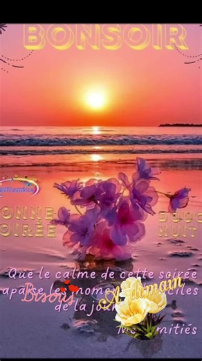 Bonne Soirée , bonne nuit à tous et toutes, à demain Mardi🥰🥰🥰❤️❤️❤️🌠🌃🌜🌝💋💋😴💤🛌