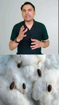 Blowroom Process in Spinning Explained in 60 Seconds | Cotton Opening & Cleaning | Textile2020