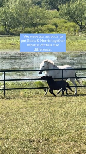 2.3M views · 282K reactions | They took matters into their own hands凉...