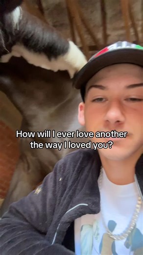 My heart still breaks ☹️ #fypシ゚viral #bestfriend #greif #horseloss #equestrian