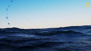 With the finish line in sight, every catch is make or break. A new episode of #WickedTuna: Outer Banks airs tonight at 9/8c on National Geographic. | Wicked Tuna