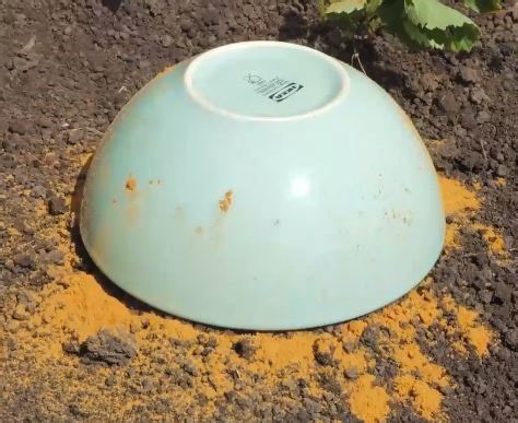 2.6M views · 659 reactions | 5 Minuti Creativi on Reels | Facebook