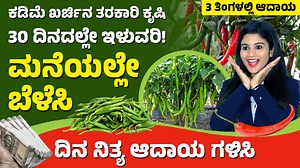 5.7K views · 93 reactions | Top 5 Profitable Farming Ideas For Women...