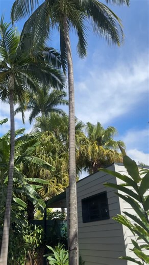 ⛰️ En plein cœur de l’Entre-Deux 3 bungalows nichés dans un grand jardin tropical 🌴 Chaque bungalow peut accueillir jusqu’à 4 personnes et dispose d’un lit double, d’un canapé-lit, d’un réfrigérateur et d’une machine à laver. 👉 L’un des trois bungalows est accessible PMR. Profitez d’une terrasse privative, de l’accès à la piscine chauffée, au brasero, et aux espaces extérieurs, pour un séjour tout en douceur. 🌺 Ici, on ralentit. On respire. On savoure. Réservations 👇 🔗 www.lechappee-belle.c