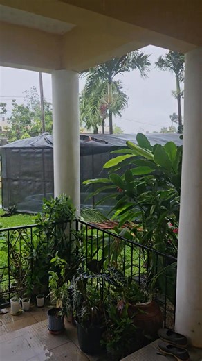 Current situation on the Beach Road...the wind is dancing in a circular movement. I am surprised the power is still on with surges off and on. | Angie Gayle