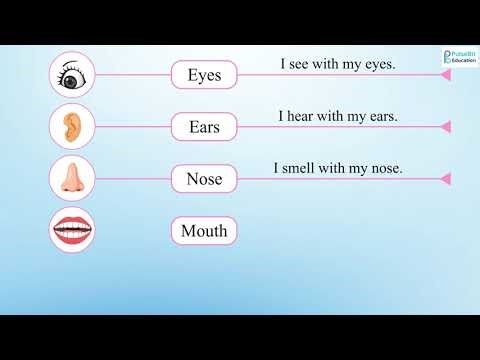 Class 1 English - NCERT | Mridang | Look at the pictures, Read the word, then read the sentence