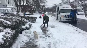 On Staten Island with Shaggy...who hates rain but loves snow. Send me your #StatenIsland snow pics! CBS New York #CBS2stormwatch | Ali Bauman