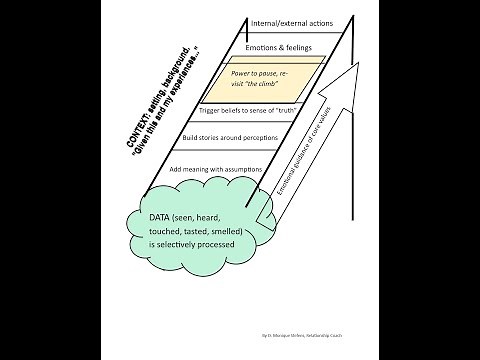 The Ladder of Inference - Introduction