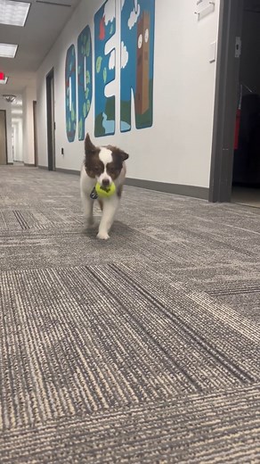 Medical Billing Software | Open Practice Solutions on Reels