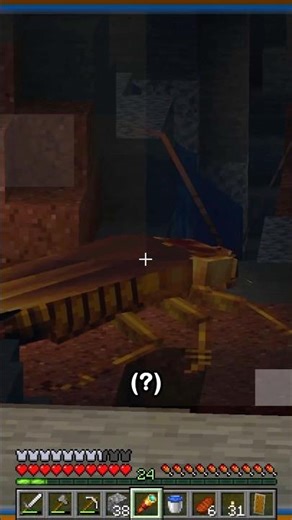 El peor bicho en Minecraft 🪳