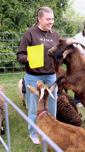 2K views · 40 reactions | Scenes from Spring Fling  The hundreds of events hosted by Student Life, clubs, and student organizations annually help make our campus community a vibrant place! This year's Spring Fling included crafts, a petting zoo, vendors, food trucks, and lots of good times. | Sweet Briar College | Facebook