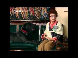 Παρά 5 - Θεοπούλα |Σκύλος & Πολυχρόνης|