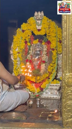 Ujire Rathotsava Special | Aarathi of Janardhana Swamy #ujire #carfestival #viral #rathotsava