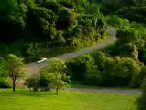 car scream!