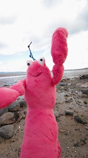 Jellycat Lobster Says Hi #jellycat #jellycatcollection #jellycats #jellycatshop #jellycatshopuk #papertiger #shoppapertiger