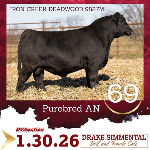 DRAKE SIMMENTAL - Annual Bull & Female Sale 🗓 January 30, 2026 ⏰ 1:00 PM 📍 Centerville, Iowa 📞 Sale Day Contacts: Larry Drake — (641) 895-9422 Flint Drake — (563) 580-1053 Corey Wilkins — (256) 590-2487 Sale Details 🔗 : https://bit.ly/45mcyJz #thestockman #morethanahobby | The Stockman Ag-Extra