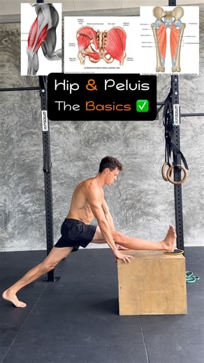 29K views · 16K reactions | Hip & Pelvis —> The Basics ✅ 1....