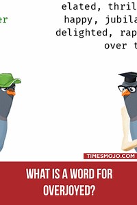 What is a word for overjoyed? - TimesMojo