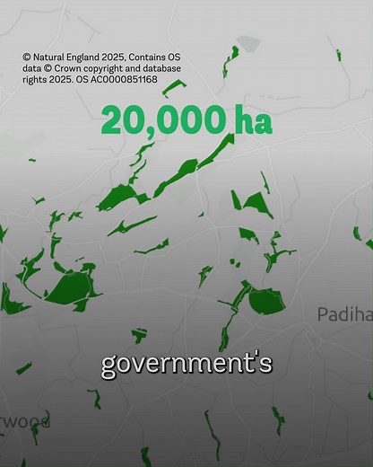 Zooming in on the UK's ancient woodlands!🗺️ 🌳 Ancient woods are areas of woodland that have persisted since 1600 in England, Wales and Northern Ireland, and 1750 in Scotland. 🦉 These woods have been around for so long they've developed special communities of plants and animals not found elsewhere. They're an irreplaceable habitat and in sore need of protection! ❓ While each UK nation maintains its own 'ancient woodland inventory, not all ancient woodlands have been mapped, and some of these w