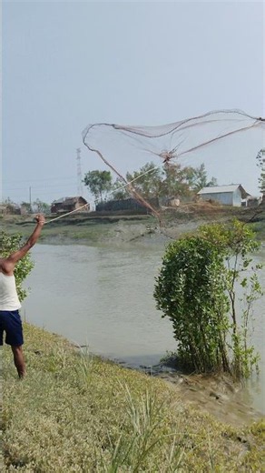 Flaying net throw skills in village river #shorts #viral #fishing