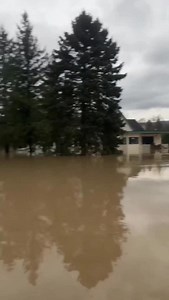 26K views · 333 reactions | 11.12.2025 USA, Washington State ...