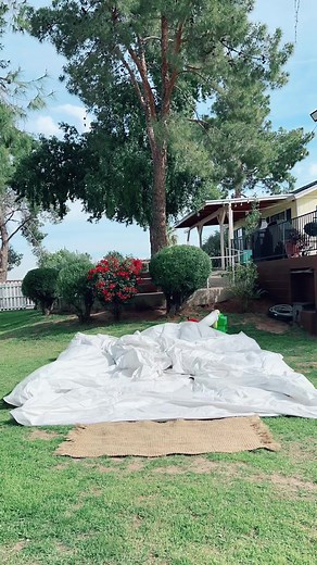 #womenownedbusiness #whitebouncehouse #jumpintoblissevents #whenwomenwin