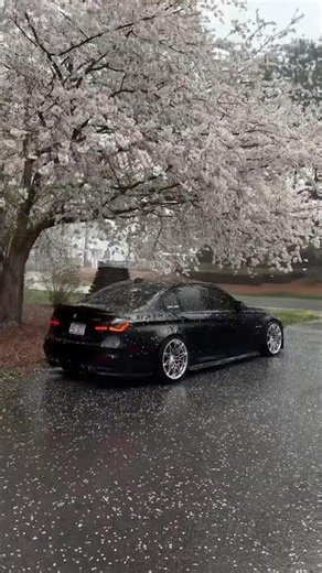 BMW M3 #bmwm3 #bmw #bmwm5 #bmwm 🔥🇩🇪