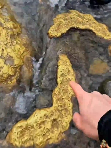 Uncovering Gold Rush Secrets in Modern Gold Mining